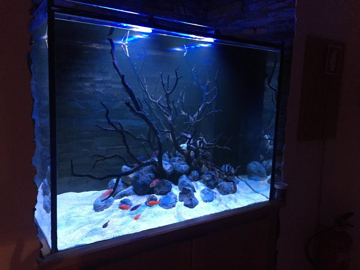 Aquarium House Apartment Sesimbra Luaran gambar